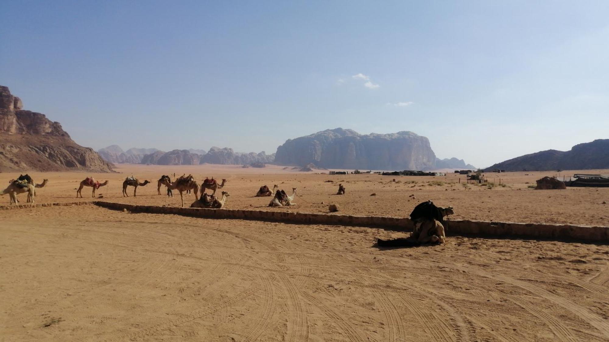 Omar Ghazi Camp Hotel Wadi Rum Exterior foto