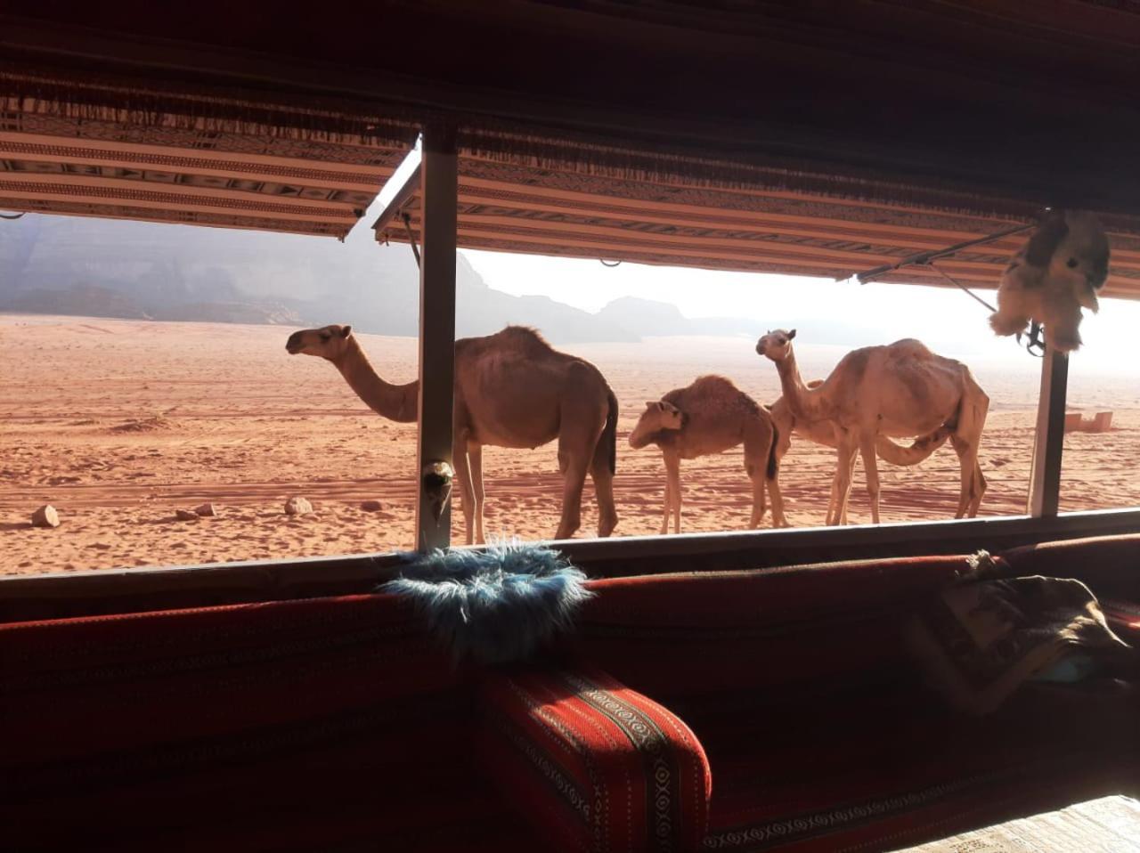 Omar Ghazi Camp Hotel Wadi Rum Exterior foto